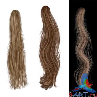 PSD �������� � Hair Stock #1