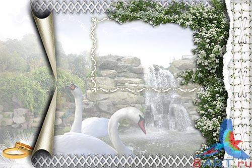 ��������� ���������� "�����"