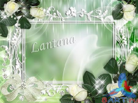 ����� � ����� ���� - ����� ����