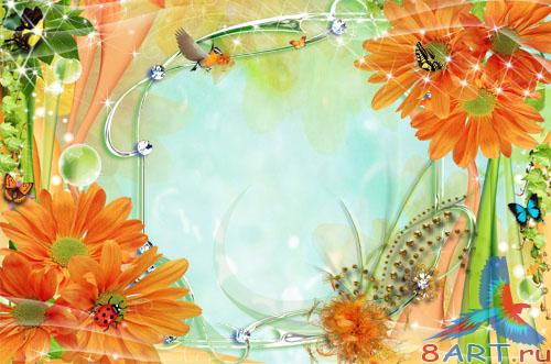 Orange flowers / ��������� �����