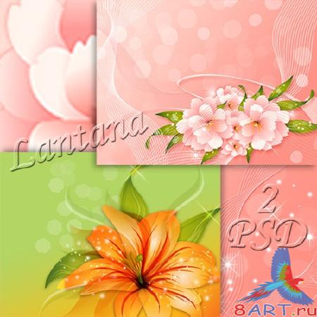 PSD ��������� � ��������� �������� - ���������