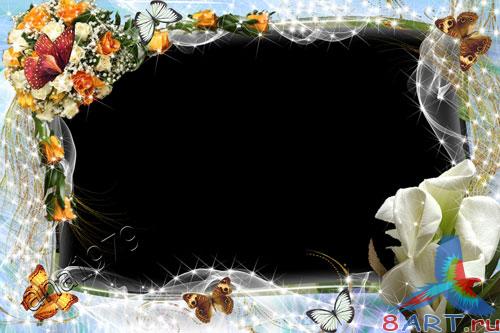 ����� ���� ������� - ����� �����