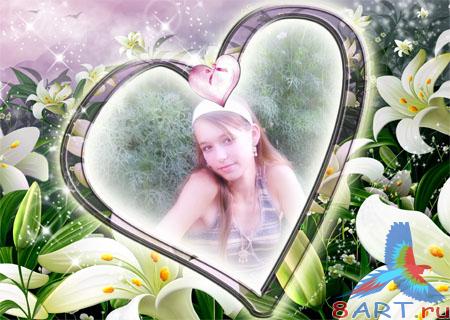 ��������� � ���� �����