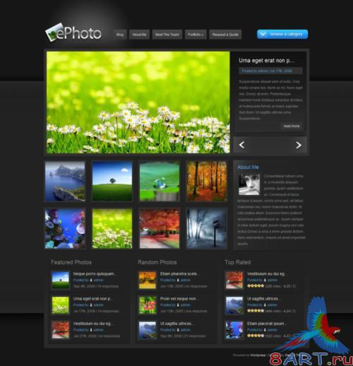 8 �������� � ����� WP