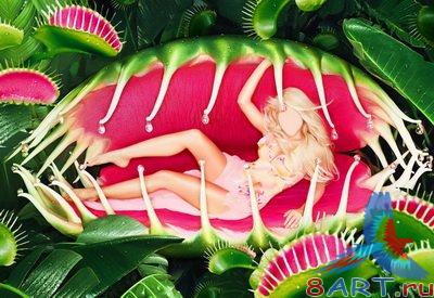 ������ � ����� ���� ���� - �� �����