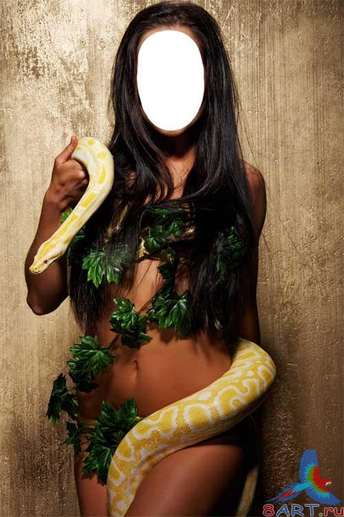 ������ � ����� ����������� - ������������ �� ���