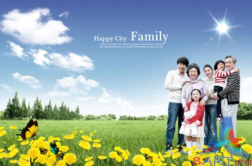 Sources - A butterfly on a flower