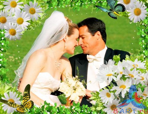 Яркая рамочка в угоду кому оформления фото от ромашками Яркая рамочка в угоду кому оформления фото от ромашками