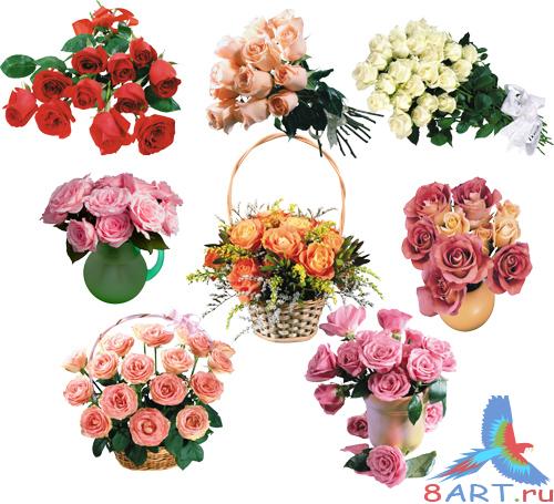 PSD ��������� - ������ ��� (����� 2)