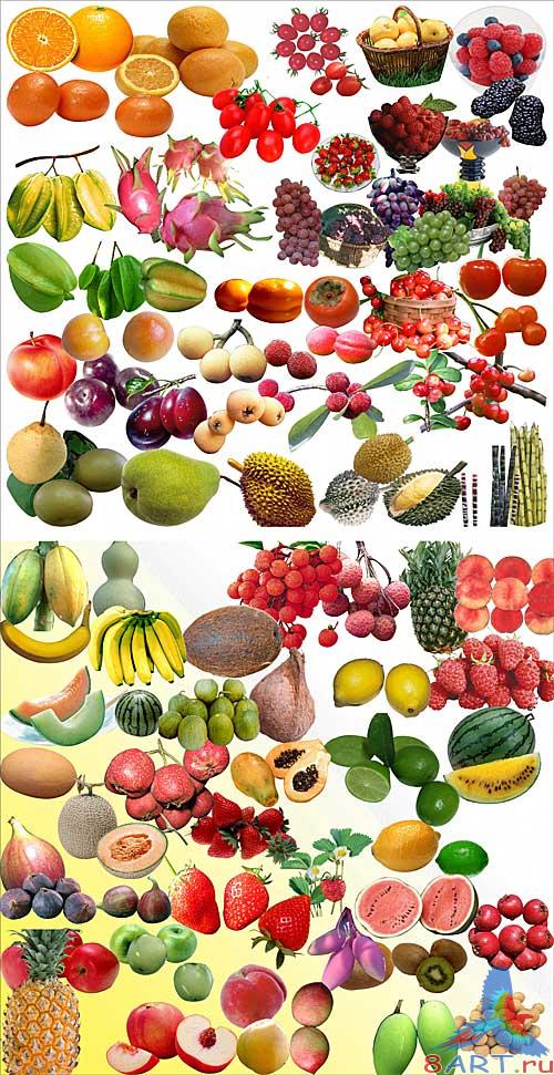 PSD - Fruit pack