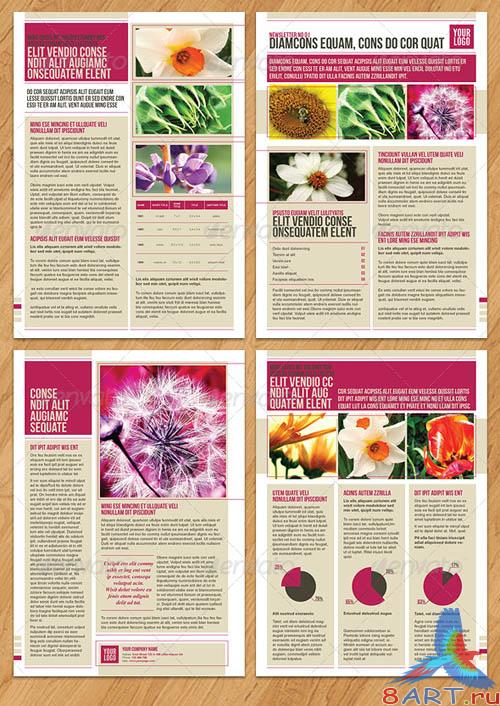 GraphicRiver Newsletters PACK 2 in 1