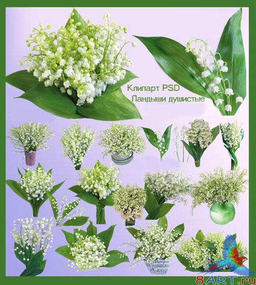 PSD ������� - �������