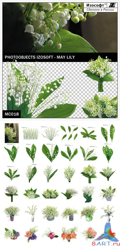 Izosoft - May Lily (MC018)