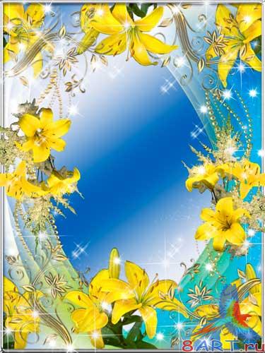 ����� � ����� ���� - ������ �����