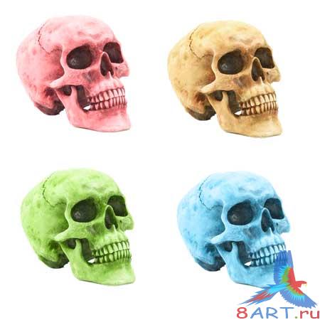 PSD �������� � Skull