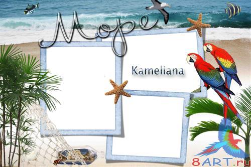 ����� � ���� -  ������� ������