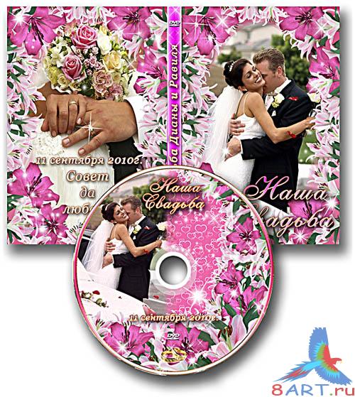 ��������� ������� DVD ����� ������� ��� ����