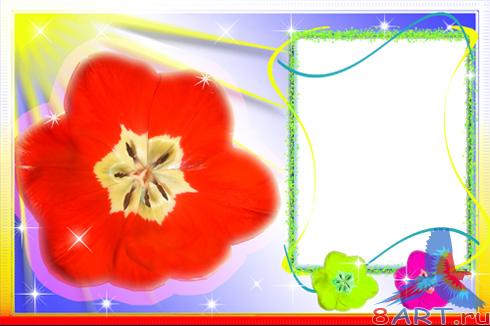 ����� ���� ������� "��������"