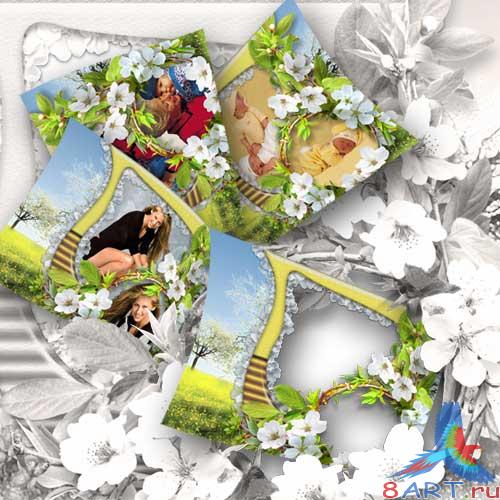 ����� ����� ���� - �������� ����