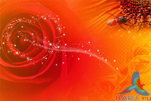 PSD - Bright Orange Template