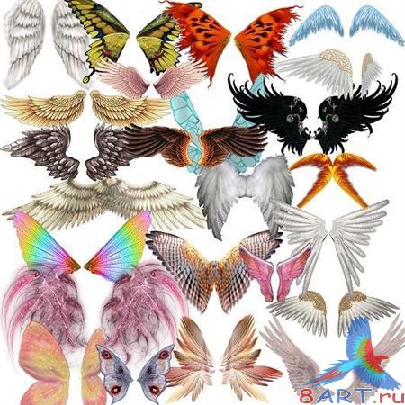 ��������� ������� PSD