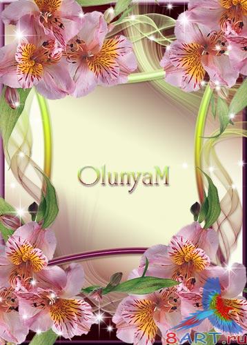 ������� ����� ���� ���� - ����� ����� ��������