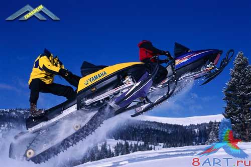 ������ � ������ ���� ������� - ������ �������