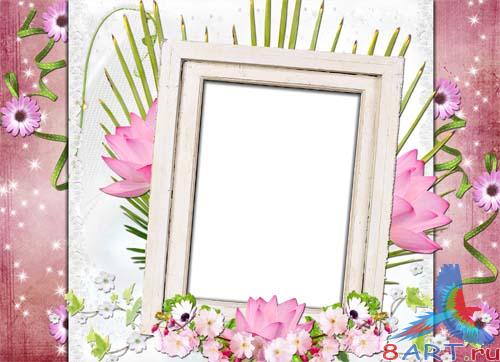 �����-��������