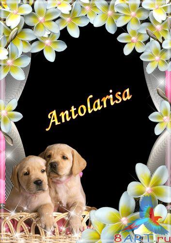 ������� � ������ ���� ���� �� �������