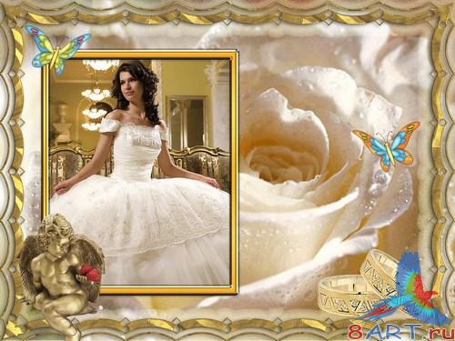 ��������� - ������� ������ ������� ����