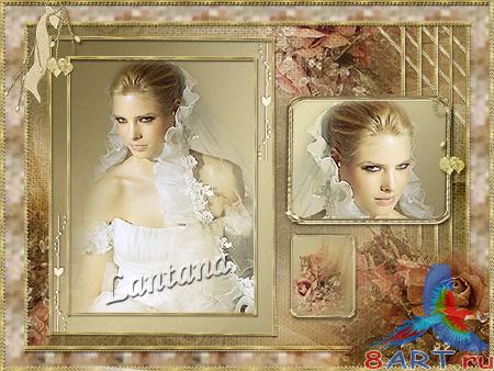 ����� � ��������� ���� - �������� ����, ��������� �����