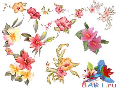 ��������� ������ (PSD)