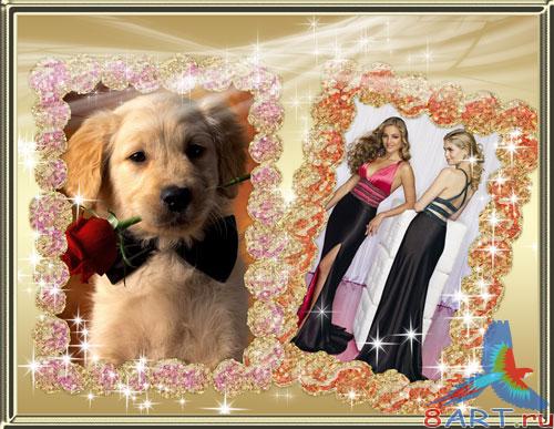 ����� � ������ ���� ���� - �������