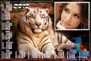 ��������� ��� 2010 ��� ����� ������ ���� ���� - ������� ����