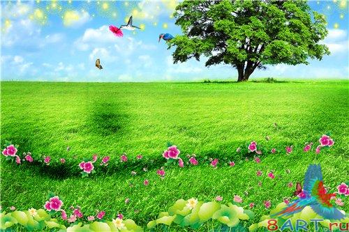 PSD - Summer Green Field