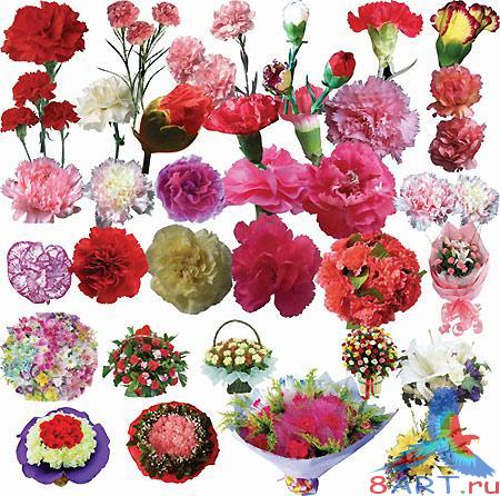 PSD ��������