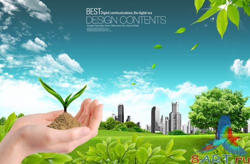 Sources - Grain success