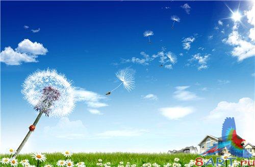 PSD - Dandelions on the field