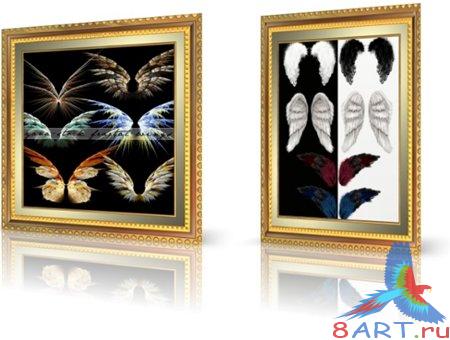 �������  PSD - ������