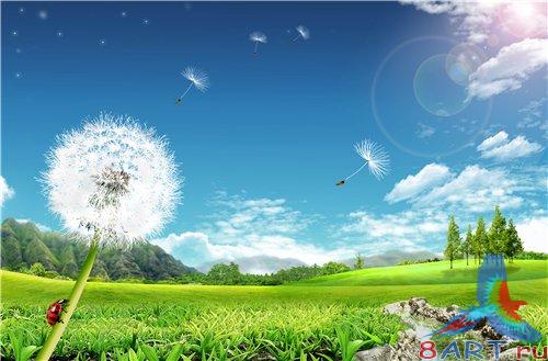 PSD - Summer Beautiful Vivid Landscape