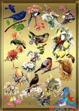 ������� - ������ � ������