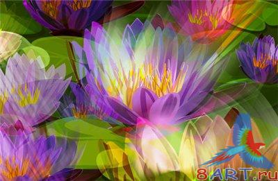 Клипарт - Кувшинки! Клипарт - Кувшинки!