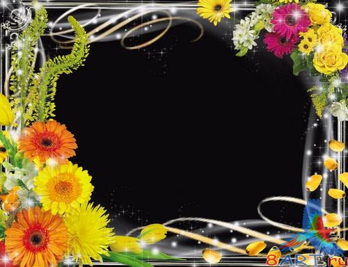 ������� �� ���������� ���� - ����� ������