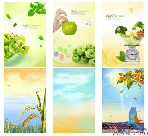 ImageToday Design Source - Fruits