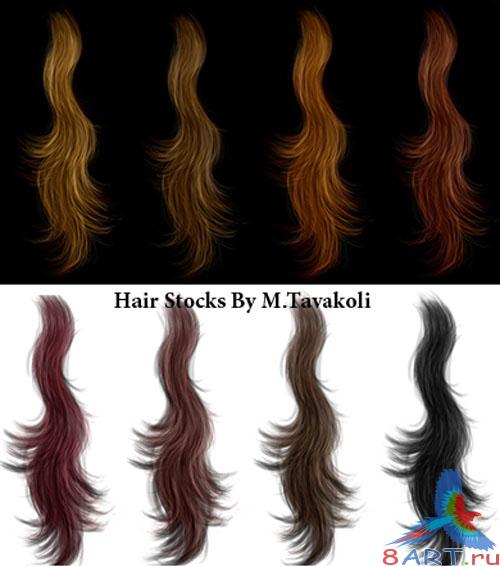 Hair Stocks PSD Template