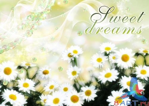 PSD ��������� - ��������� �����