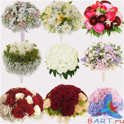 ������ ���