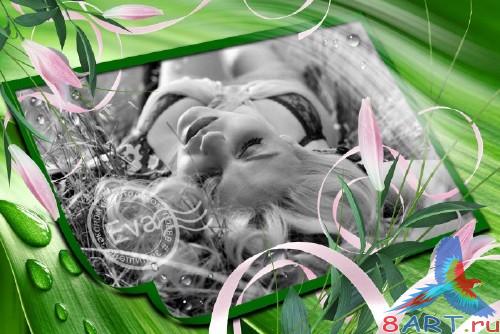 Рамочка с целью фотографий - Свежесть Рамочка чтобы фотографий - Свежесть