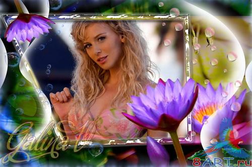 ����� � ����� ���� - �����