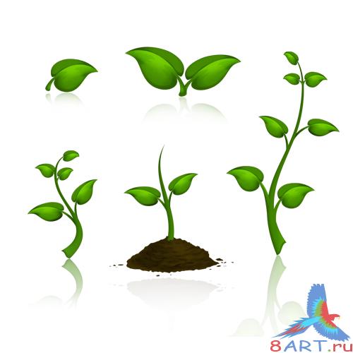 5 PSD Nature Elements